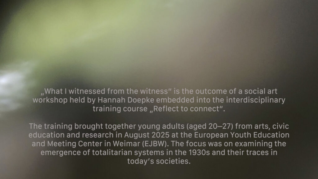 WhatIWitnessed_Context_HDoepke2025