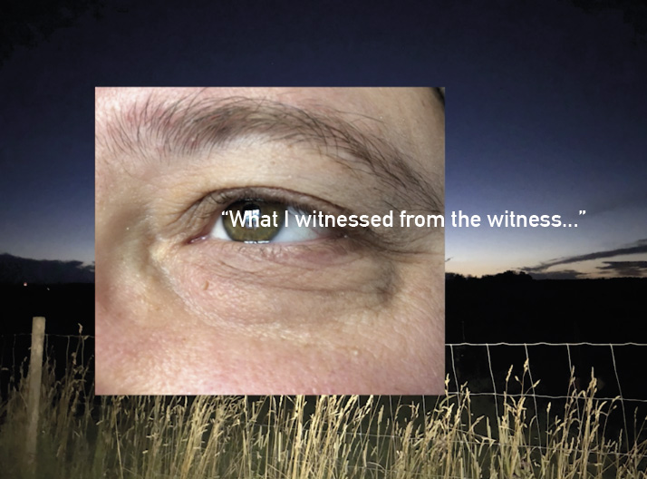 WhatIWitnessed_HDoepke2025