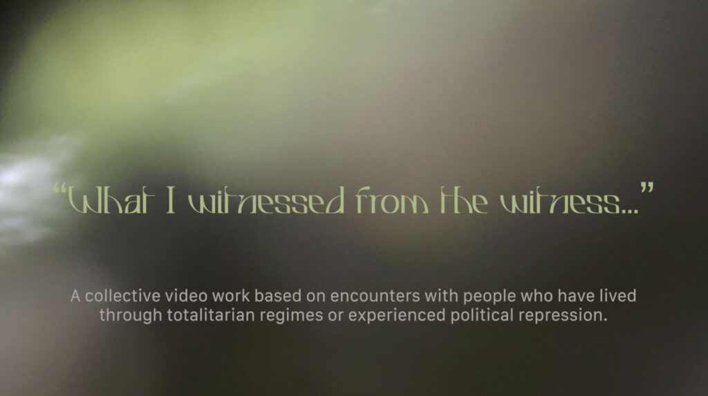 WhatIWitnessed_Intro_HDoepke2025