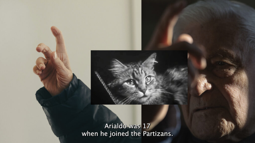 WhatIWitnessed_VideoTimGassauer2025